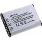 Batteri til Action Cam Sony HDR-AZ1