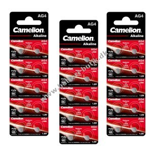 30x Camelion Knapcelle LR66 / AG4 / G4 / LR626 / 177 / SR626W / GP77A / 377