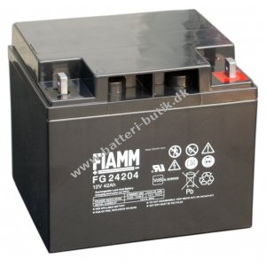 Fiamm Blybatteri FG24204 12V 45Ah