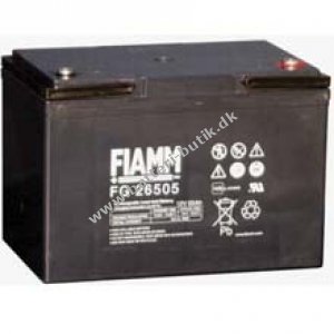 Fiamm Blybatteri FG26505 12V 65Ah