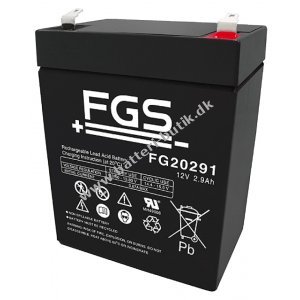 FGS FG20291 Blybatteri 12V 2,9Ah