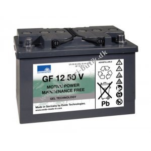 Sonnenschein Batteri til Meyra ORTOPEDIA Ortocar 315 SP II (GF12050V) 12V 55Ah GEL