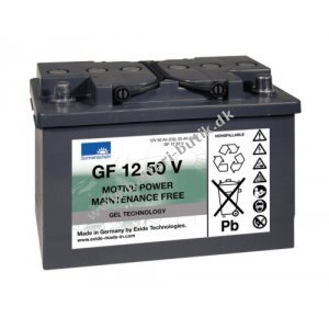 Sonnenschein Batteri til Meyra ORTOPEDIA Eurosprint (GF12050V) 12V 55Ah GEL