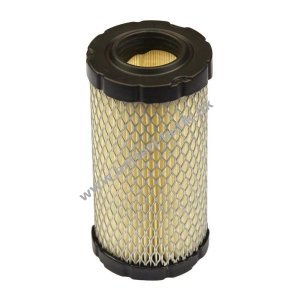 Luftfilter Briggs & Stratton 793569, 30-167 (NGP793569)