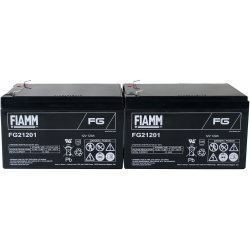 FIAMM Batteri til APC RBC 6 | Batteri-Butik