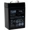 FIAMM Batteri til Ndstrm (USV) Tairui TP6-4.0  6V 4 5Ah