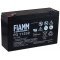 FIAMM Batteri til brnelegetj, buggy 6V 12Ah (erstatter ogs 10Ah)