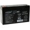 Blybatteri til FIAMM FG11202
