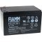 FIAMM BlyBatteri FG21202 Vds