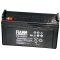 Fiamm Blybatteri FG2C007 12V 120Ah