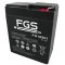 FGS FG10901 Blybatteri 6V 9Ah (Multipower Branded)