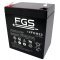 Batteri til Skadedyrsbekmpelse FGS 12FGH23 High Rate 12V 5Ah