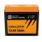 Batteri Liontron Lithium LiFePO4 LX 12,8V 20Ah med BMS