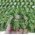 Hybridgrs til Robotplneklipper 2x2 meter 598 89 60-01, 598896001