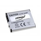 Batteri til Sony Cyber-Shot DSC-S950 Serie