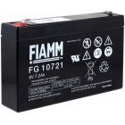 Erstatnings Batteri FIAMM FG10721 6V 7,2Ah til Foderbåd, Agnbåd Erstatnings Batteri FIAMM FG10721 6V 7,2Ah til Foderbåd, Agnbåd