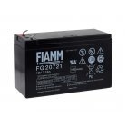 FIAMM BlyBatteri FG20721 Vds