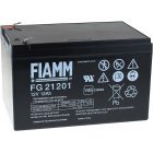 FIAMM BlyBatteri FG21202 Vds