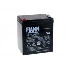 FIAMM BlyBatteri 12FGH23 (High Rate)