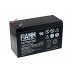 FIAMM BlyBatteri 12FGH36 (High Rate) FIAMM BlyBatteri 12FGH36 (High Rate)