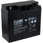 FIAMM BlyBatteri 12FGH65 (High Rate)