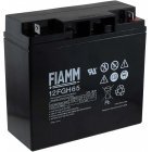 FIAMM BlyBatteri 12FGH65 (High Rate) FIAMM BlyBatteri 12FGH65 (High Rate)