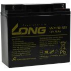 KungLong Blybatteri WP18-12I 12V 18Ah erstatter FIAMM Type FG21803 KungLong Blybatteri WP18-12I 12V 18Ah erstatter FIAMM Type FG21803