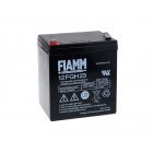 FIAMM Blybatteri FGH20502 12FGH23 (High Rate)