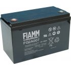 Fiamm Blybatteri FG2A007 12V 100Ah