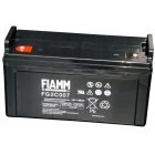 Fiamm Blybatteri FG2C007 12V 120Ah