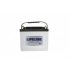 Lifeline Deep Cycle blybatteri GPL-24M 12V 80Ah