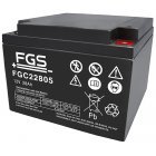 FGS Batteri til Levo LCM 50 amp (FGC22805) 12V 28Ah AGM 2 stk.