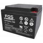 Batteri til Skadedyrsbekæmpelse FGS 12FGHL100 High Rate Longlife 12V 24Ah