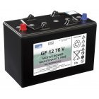 Batteri til Rengringsmaskine Numatic TTV 5565 (GF12076V)