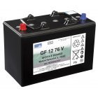 Batteri til Rengringsmaskine Numatic TTV 678 (GF12076V)